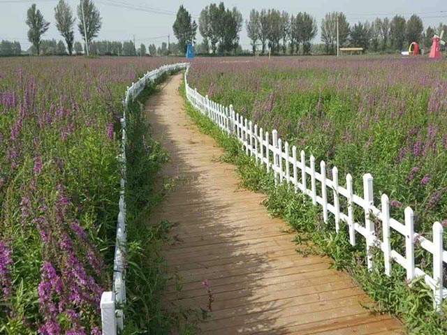 花園栅欄